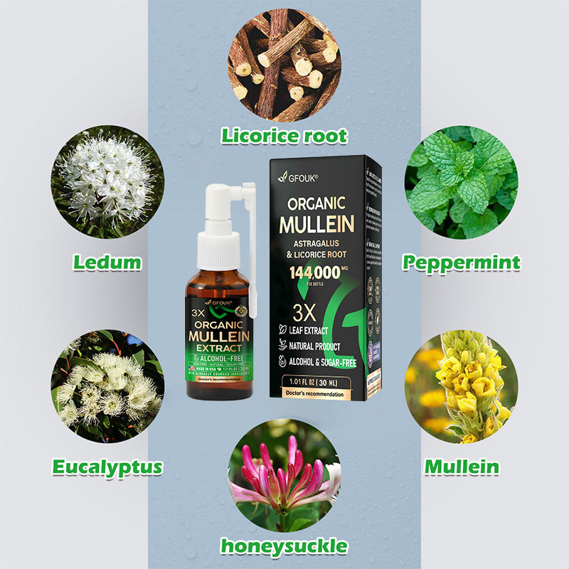 ✨💖GFOUK® 3X Concentrated Mullein Lung Cleanse Spray — Helps relieve difficulty coughing up phlegm, shortness of breath, excessive mucus, bronchitis, and lung infections