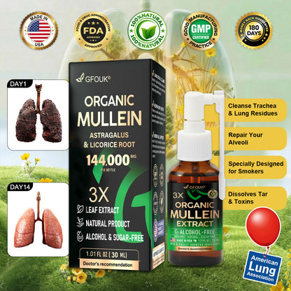 ✨💖GFOUK® 3X Concentrated Mullein Lung Cleanse Spray — Helps relieve difficulty coughing up phlegm, shortness of breath, excessive mucus, bronchitis, and lung infections