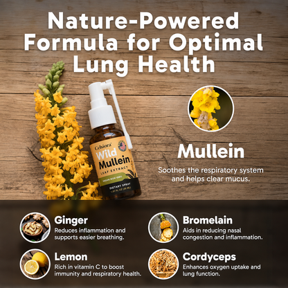 ✨💖FDA Approved|Celsiora® New Maximum Potency Mullein Spray (Helps relieve difficulty coughing up phlegm, shortness of breath, excessive mucus and lung infections)
